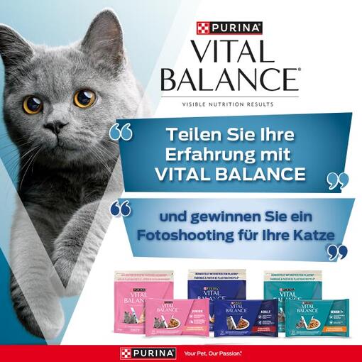 PURINA VITAL BALANCE