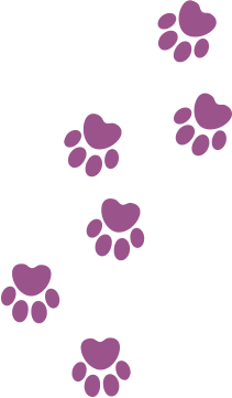 Paws