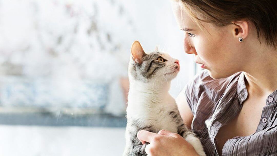 Chaton à poil clair dans les bras d’une femme