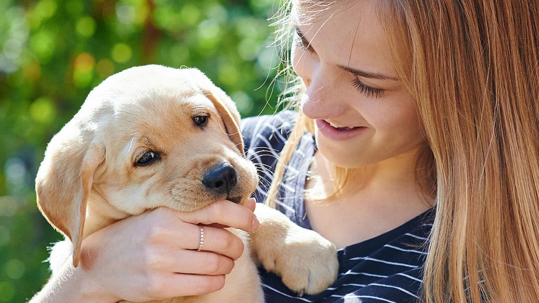 PRENDRE SOIN DE VOTRE CHIOT