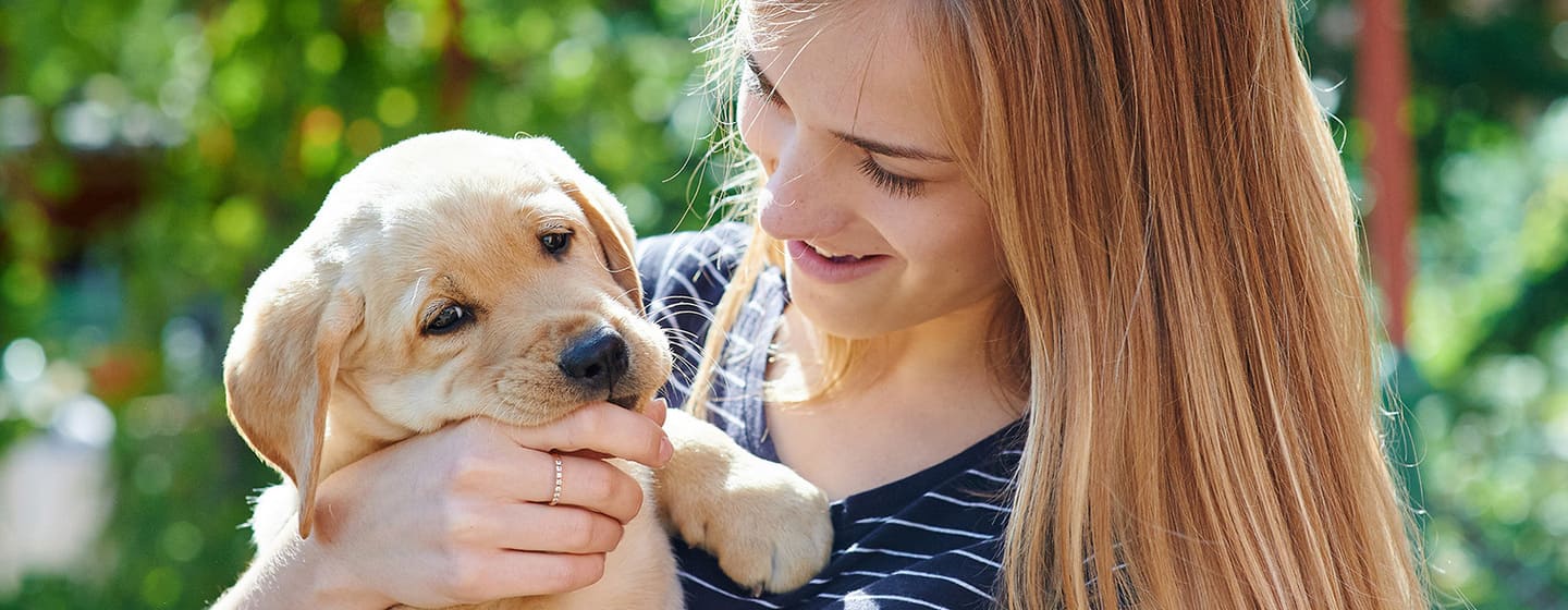 PRENDRE SOIN DE VOTRE CHIOT