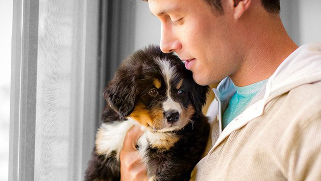 COMMENT ASSURER LA PROPRETÉ DE SON CHIOT ?