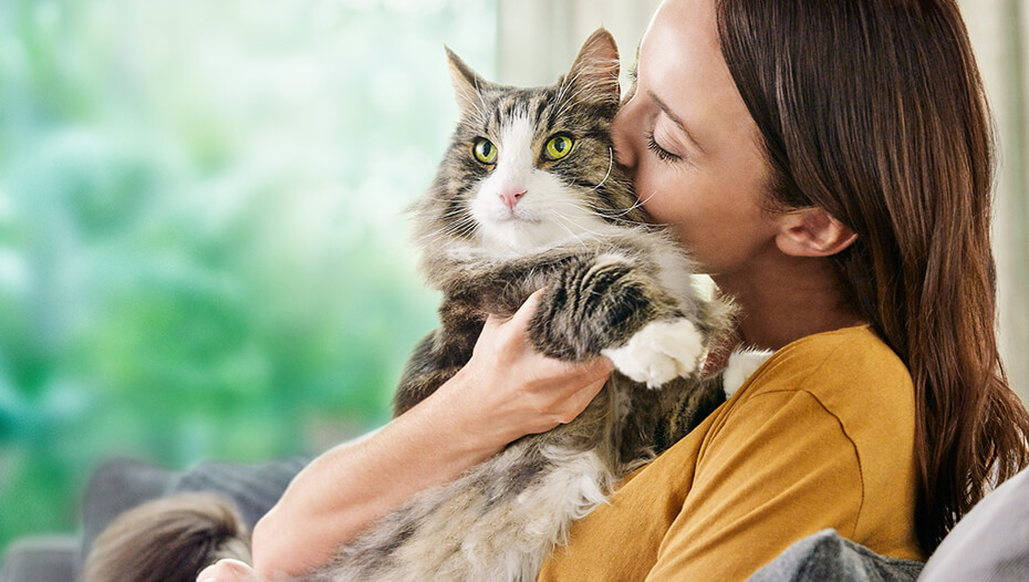 Frau, die mit Katze kuschelt