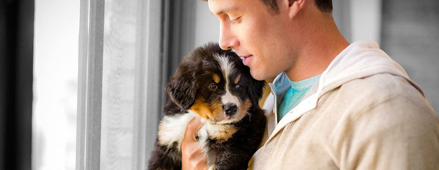 COMMENT ASSURER LA PROPRETÉ DE SON CHIOT ?