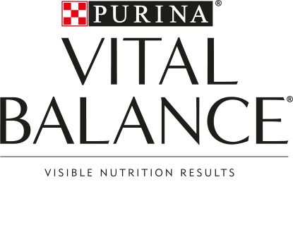 Vital Balance