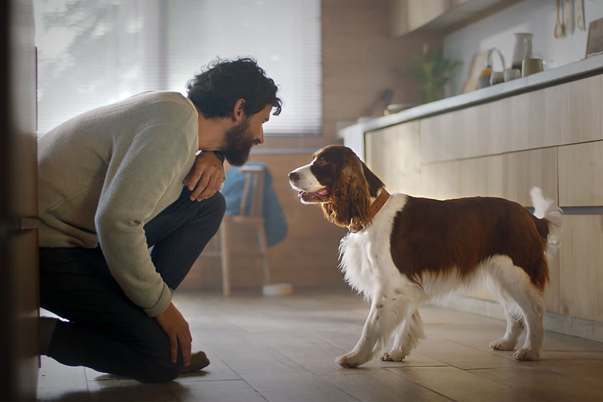 Ein Mann und ein Hund schauen sich in einer Küche an