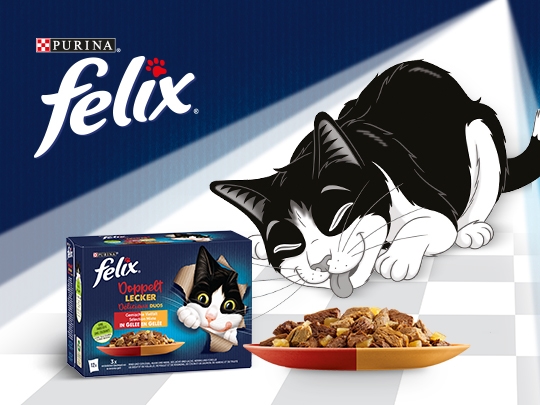 felix aussi bon qu'il en a l'air doublement délicieux nourriture pour chat