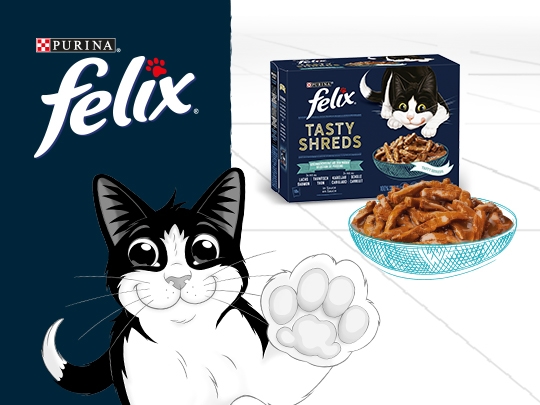 Nourriture en sachet pour chat : Succulent Grill FELIX