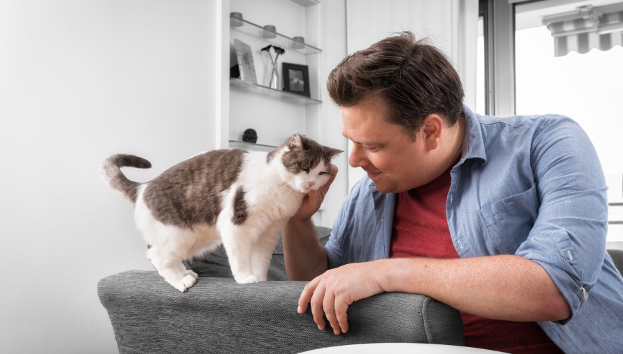 Un homme assis sur l'accoudoir de son canapé caresse le visage de son chat