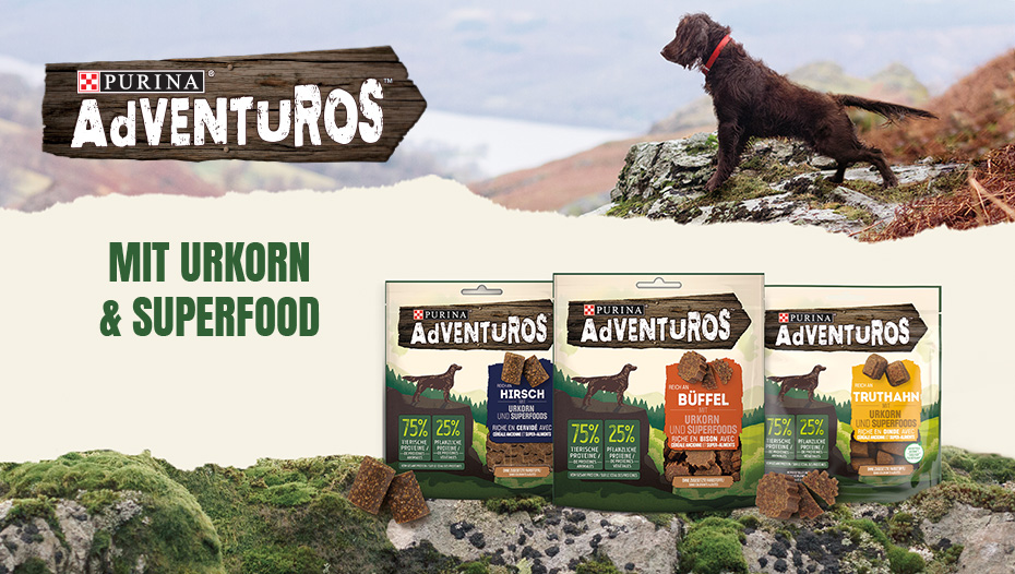 Adventuros Ancient Grains listing page