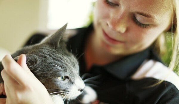 D’où viennent les allergies aux poils de chien ou de chat ?