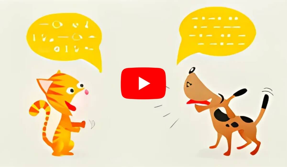 vidéo_parler_chien_et_chat