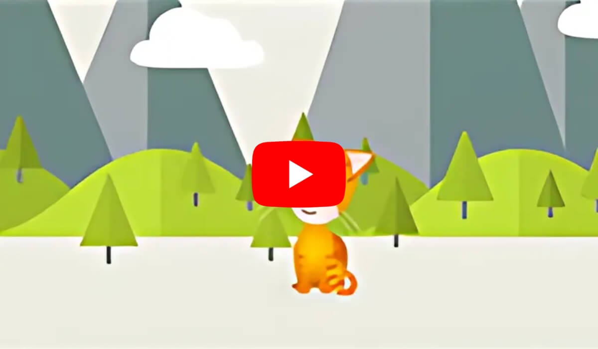 vidéo_un_chat_c'est_quoi