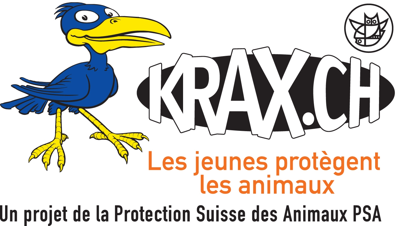 Krax-les-jeunes-protegent