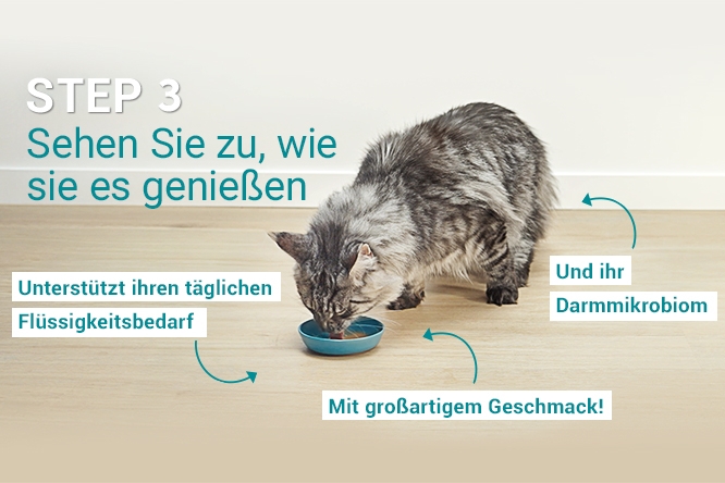 PONE Schritt 3 PONE Schritt 3