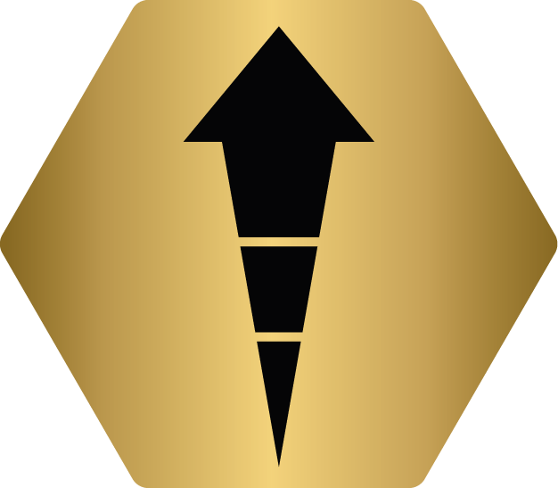 Pro plan icon