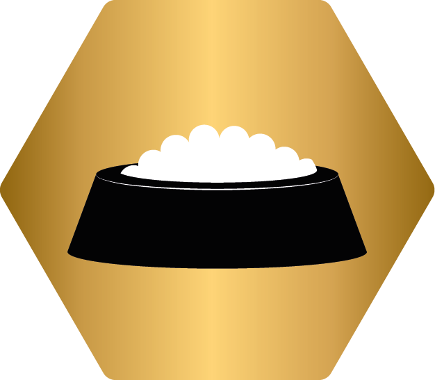 Pro plan icon