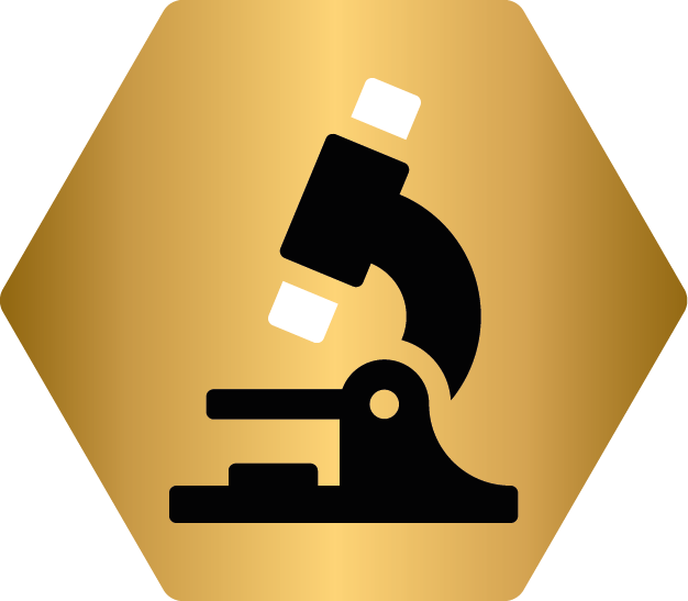Pro plan icon