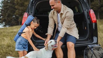 voyager-en-voiture-avec-un-chien-teaser