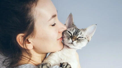 Person hält eine Katze im Arm