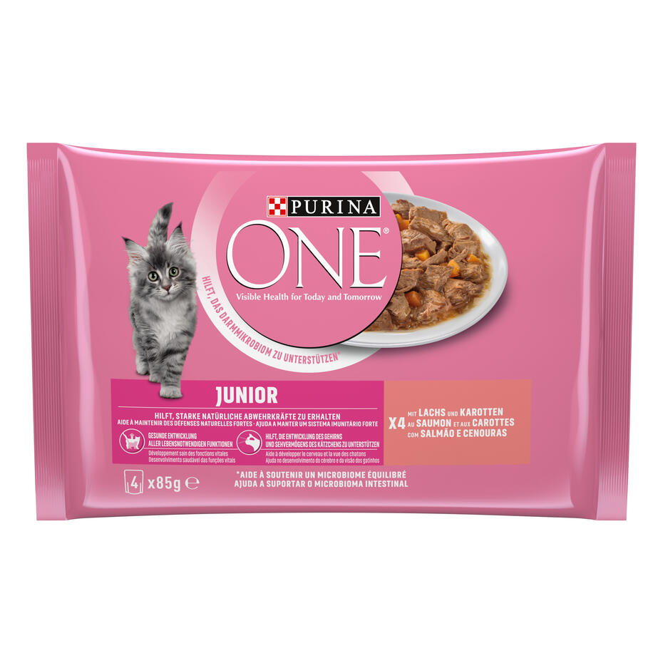 PURINA ONE Junior Saumon