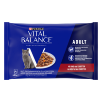 VITAL BALANCE® humide adult boeuf