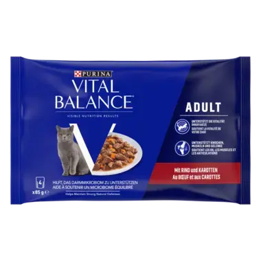 VITAL BALANCE® humide adult boeuf