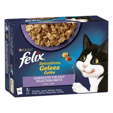 FELIX® SENSATIONS GEMISCHTE AUSWAHL 12X85 G