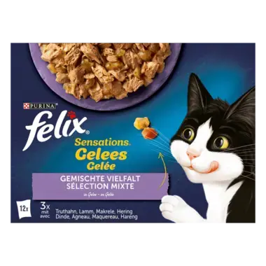 FELIX® SENSATIONS GEMISCHTE AUSWAHL 12X85 G