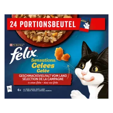 FELIX® SENSATIONS AUSWAHL VOM LAND 24X85 G