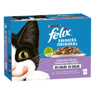 FELIX® ORIGINAL AU BŒUF 12X85 G