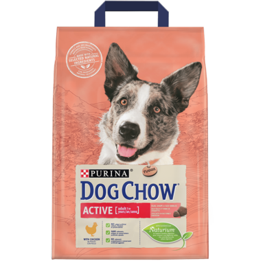 Dog Chow Active Adult Poulet