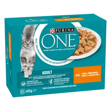 PURINA ONE® ADULT Effilés en Sauce au Poulet et aux Haricots Verts