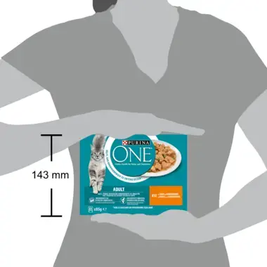 PURINA ONE® ADULT Effilés en Sauce au Poulet et aux Haricots Verts