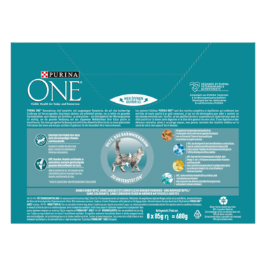 PURINA ONE Adult Poisson