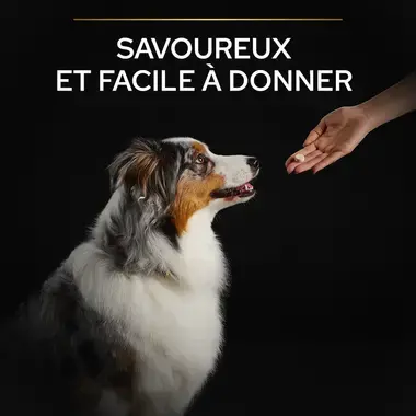 PRO PLAN® Multivitamins + Chien