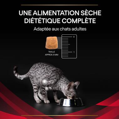 Purina® Pro Plan® Veterinary Diets Feline DM St/Ox Diabetes Management - Croquettes pour chat diabétique