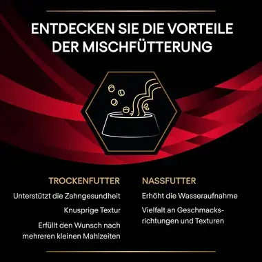 Purina® Pro Plan® Veterinary Diets Feline DM St/Ox Diabetes Management -Trockenfutter für Katzen mit Diabetes