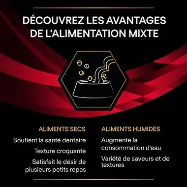 Purina® Pro Plan® Veterinary Diets Feline DM St/Ox Diabetes Management - Croquettes pour chat diabétique