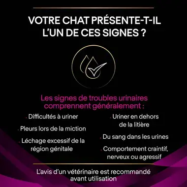 Purina® Pro Plan® Veterinary Diets Feline Ur St/Ox Urinary Poulet - Croquettes pour Chat sujets aux Calculs Urinaires