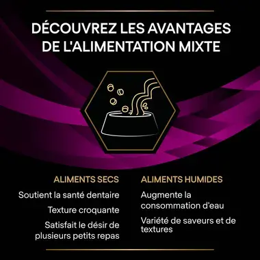 Purina® Pro Plan® Veterinary Diets Feline Ur St/Ox Urinary Poulet - Croquettes pour Chat sujets aux Calculs Urinaires
