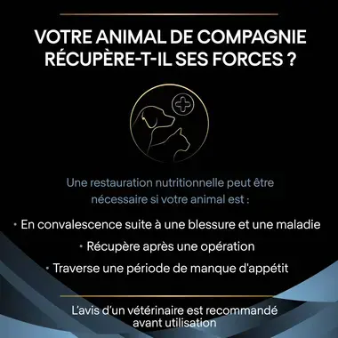 Purina® Pro Plan® Veterinary Diets Feline CN Convalescence - Boîtes pour Chat en Convalescence