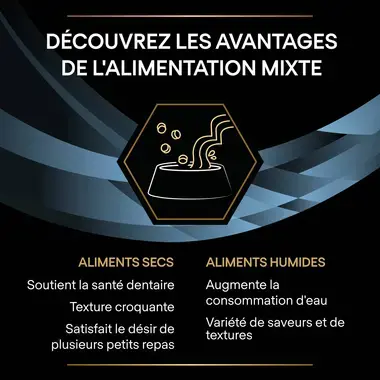 Purina® Pro Plan® Veterinary Diets Feline CN Convalescence - Boîtes pour Chat en Convalescence