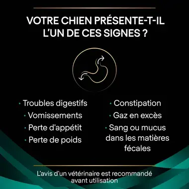 Purina® Pro Plan® Veterinary Diets Feline EN St/Ox Gastrointestinal - Sachets pour Chat ayant des Troubles Digestifs au Saumo