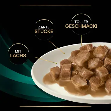 Purina® Pro Plan® Veterinary Diets Feline EN St/Ox Gastrointestinal - Nassfutter in Beutel für Katzen mit Verdauungsstörungen