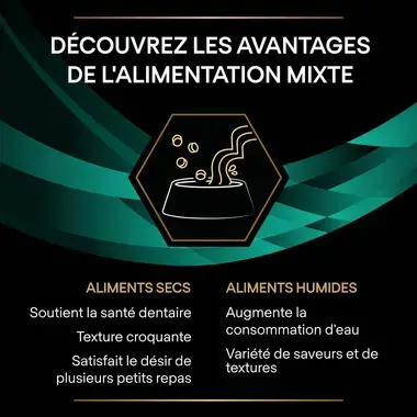 Purina® Pro Plan® Veterinary Diets Feline EN St/Ox Gastrointestinal - Sachets pour Chat ayant des Troubles Digestifs au Saumo