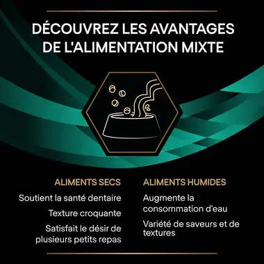 Purina® Pro Plan® Veterinary Diets Feline EN St/Ox Gastrointestinal - Boites pour Chat ayant des Troubles Digestifs