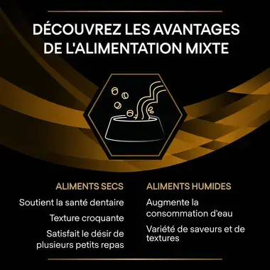 Purina® Pro Plan® Veterinary Diets Feline NF Renal Function Advanced Care - Sachets pour Chat souffrant d'Insuffisance Rénale