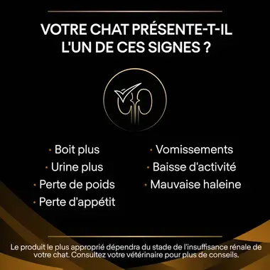 Purina® Pro Plan® Veterinary Diets Feline NF Renal Function Advanced Care - Boites pour Chat souffrant d'Insuffisance Rénale