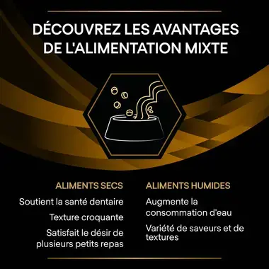 Purina® Pro Plan® Veterinary Diets Feline NF Renal Function Advanced Care - Boites pour Chat souffrant d'Insuffisance Rénale